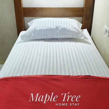 Maple Tree Homestay Maguwo Exteriér fotografie