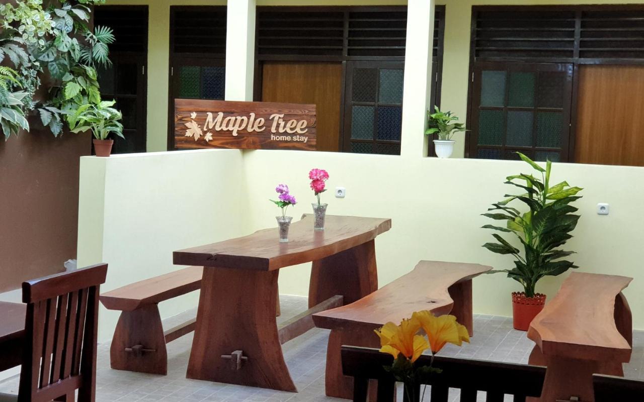 Maple Tree Homestay Maguwo Exteriér fotografie