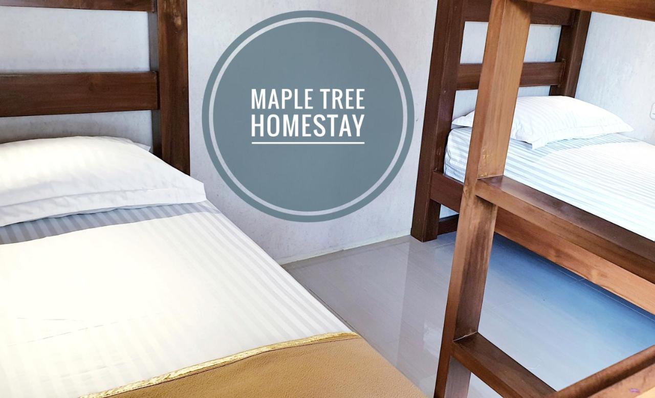 Maple Tree Homestay Maguwo Exteriér fotografie
