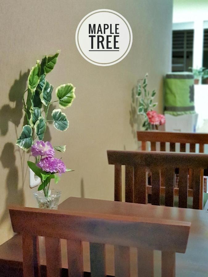 Maple Tree Homestay Maguwo Exteriér fotografie