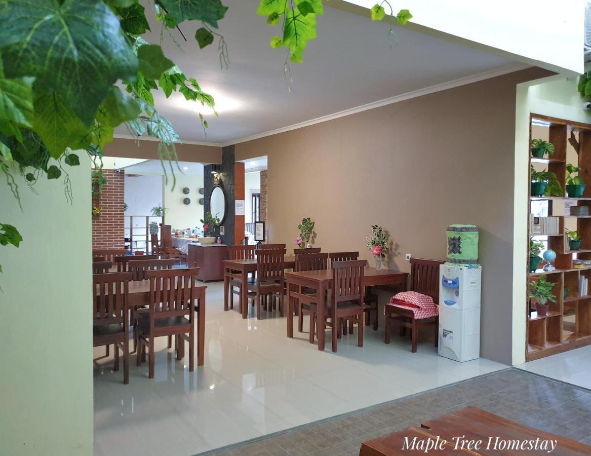 Maple Tree Homestay Maguwo Exteriér fotografie