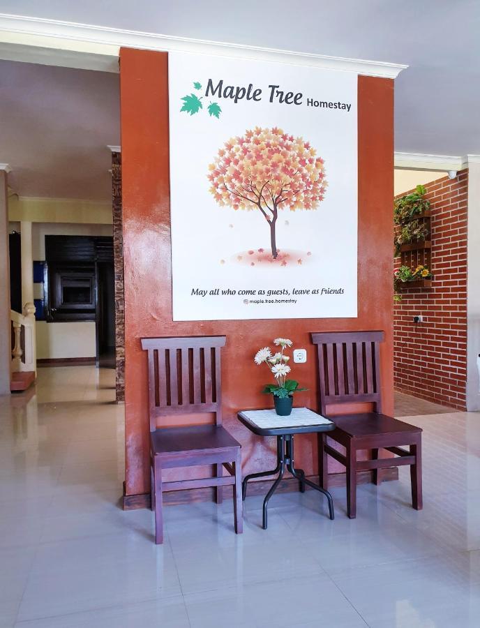 Maple Tree Homestay Maguwo Exteriér fotografie